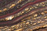 Polished Tiger Iron Stromatolite Slab - Billion Years #222073-1